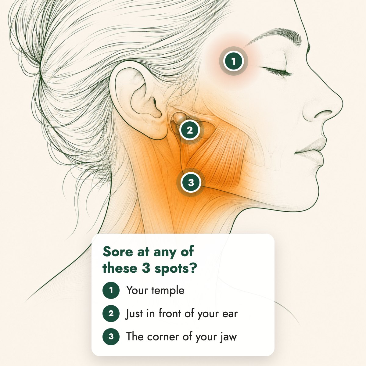 Three spots where clenching hurts: your temple, just in front of your ear, and the corner of your jaw